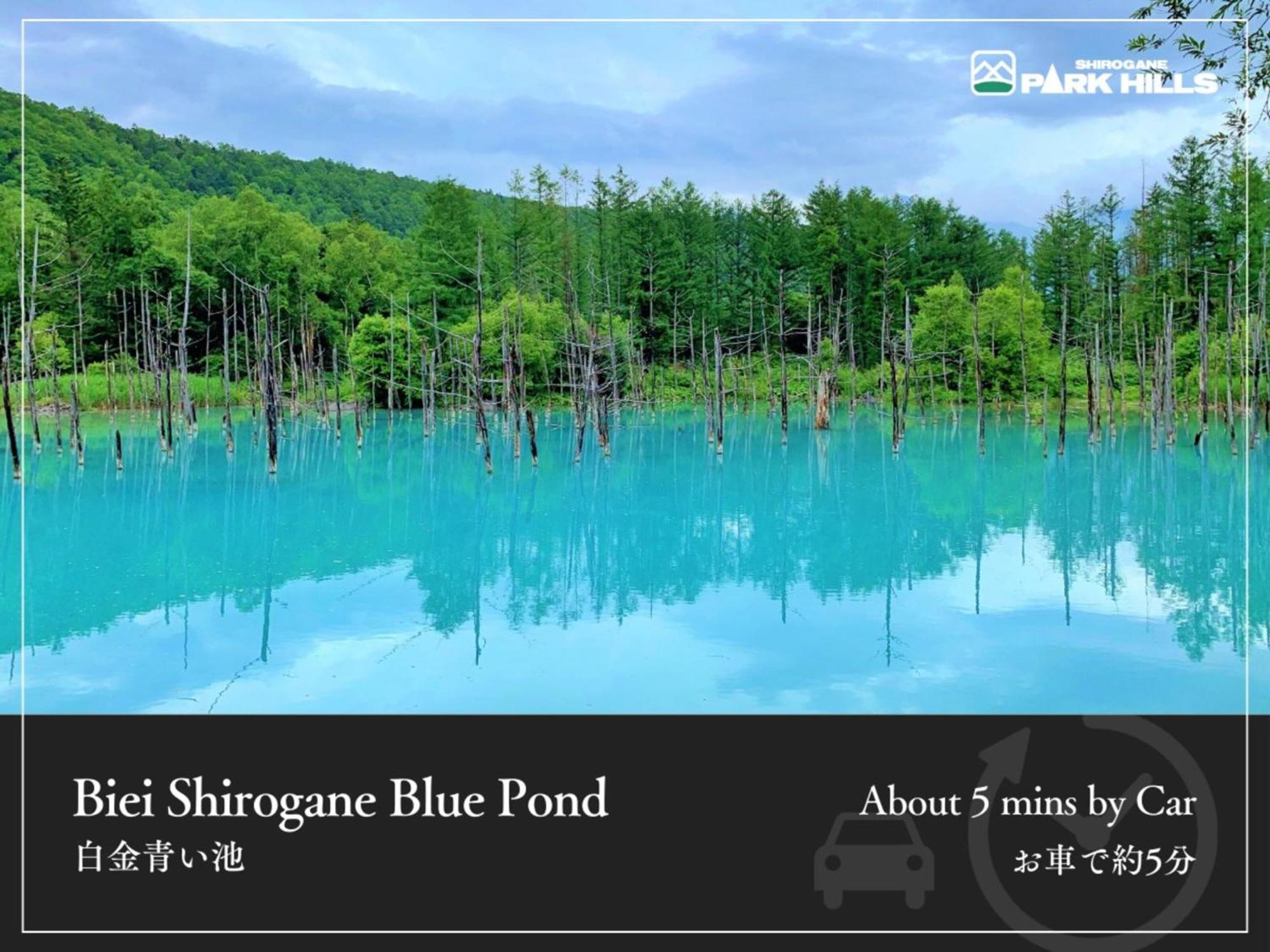 白金园山酒店 美瑛町 外观 照片