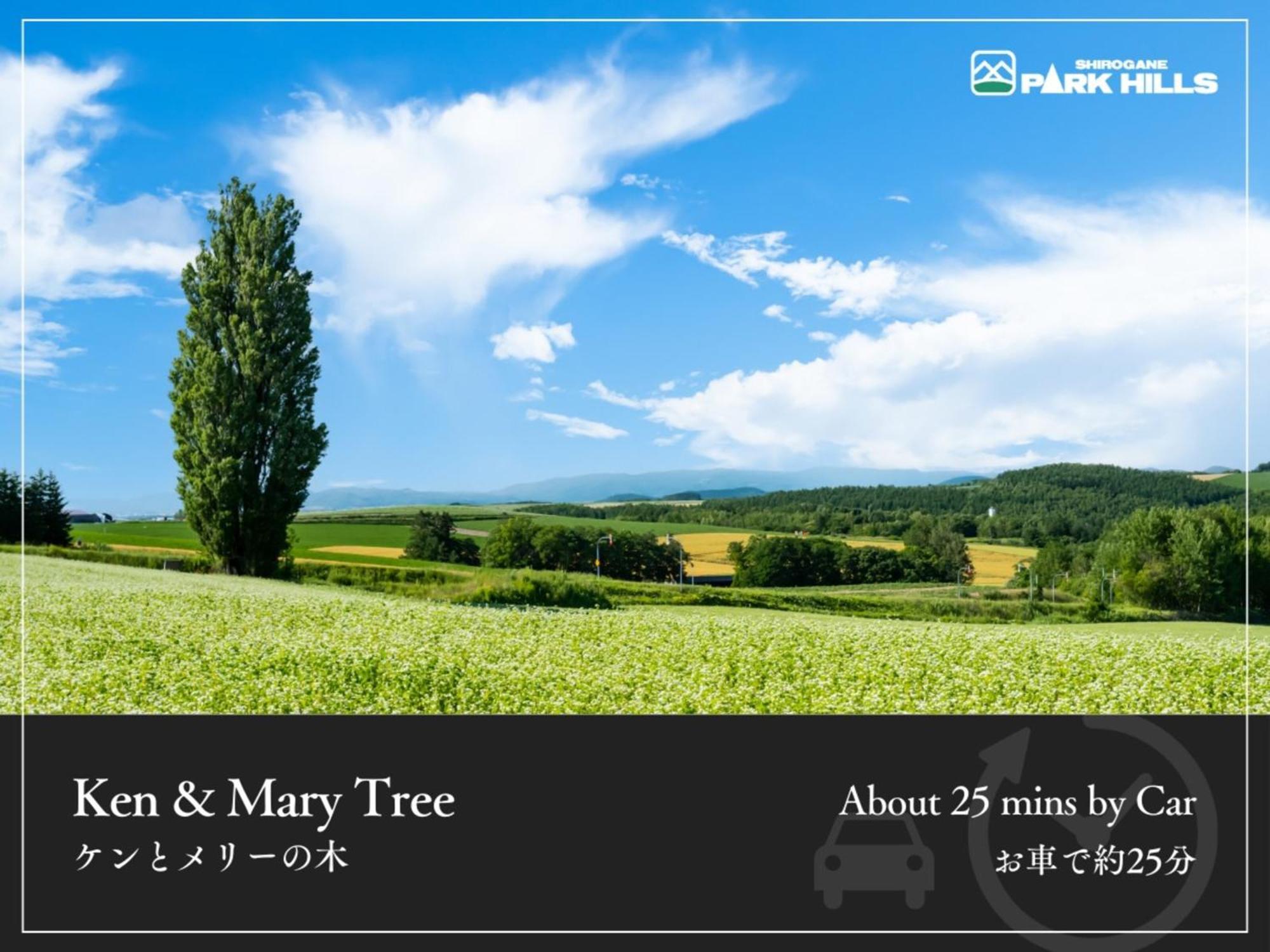 白金园山酒店 美瑛町 外观 照片